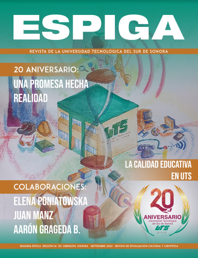 portada revista espiga